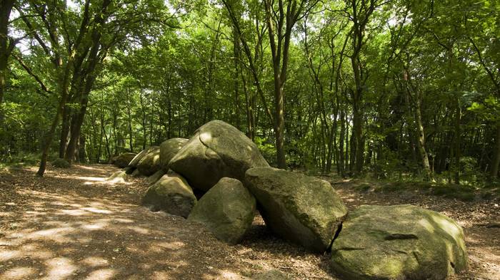 Das Großsteingrab "De hoogen Stainer" zeugt von einer Geschichte, die bis in die jüngere Steinzeit zurück reicht.